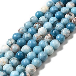 Natural Gemstone Beads Strands, Imitation Larimar, Dyed, Round, Sky Blue, 10~10.5mm, Hole: 1.2mm, about 38pcs/strand, 14.88 inch(37.8cm)(G-F730-02C)
