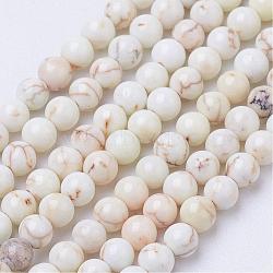 Natural Magnesite Bead Strands, Dyed, Round, Old Lace, 3mm, Hole: 0.6mm, about 118pcs/strand, 15.7 inch(G-P286-10-3mm)