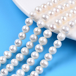 Natural Cultured Freshwater Pearl Beads Strands, Round, Seashell Color, 6.5~7x6~6.5mm, Hole: 0.7~0.8mm, about 60pcs/strand, 14.37 inch(36.5cm)(PEAR-N016-06A)