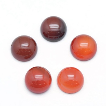 Natural Carnelian Cabochons, Half Round, 10x4~5mm