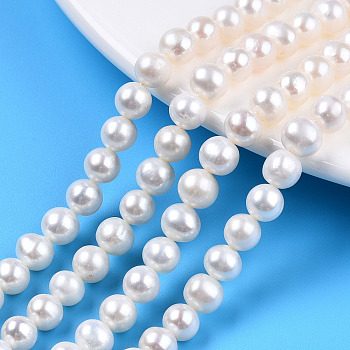 Natural Cultured Freshwater Pearl Beads Strands, Round, Seashell Color, 6.5~7x6~6.5mm, Hole: 0.7~0.8mm, about 60pcs/strand, 14.37 inch(36.5cm)