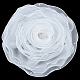 5 Yards Polyester Ribbon(OCOR-MA0001-59B)-1