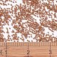 みゆきデリカビーズ(SEED-X0054-DB2107)-4