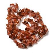 Natural South Red Agate Chips Bead Strands, 5~8x5~8mm, Hole: 1mm, about 31.5 inch(G-M205-40)