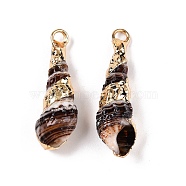 Natural Sea Shell Pendants, Shell Shaped Charms with Golden Tone Iron Loops, Coconut Brown, 21~32x7~11x6~10mm, Hole: 1.6~2mm(SSHEL-N038-33)