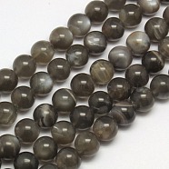 Natural Black Moonstone Beads Strands, Round, 10mm, Hole: 1mm, about 39pcs/strand, 15.7 inch(G-J157-10mm-05)