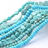 Natural Magnesite Bead Strands, Dyed & Heated, Mixed Shapes, Mixed Color, 5~20x2~18x2~19mm, Hole: 1mm, about 19~200pcs/strand, 15.7 inch(TURQ-G930-03)