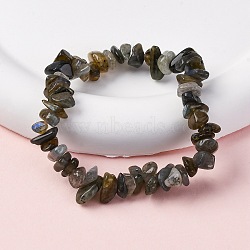 Unisex Chip Natural Labradorite Beaded Stretch Bracelets, Inner Diameter: 1-3/4~2 inch(4.5~5cm)(BJEW-S143-19)