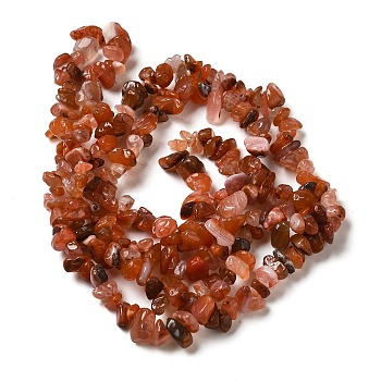 Natural South Red Agate Chips Bead Strands, 5~8x5~8mm, Hole: 1mm, about 31.5 inch