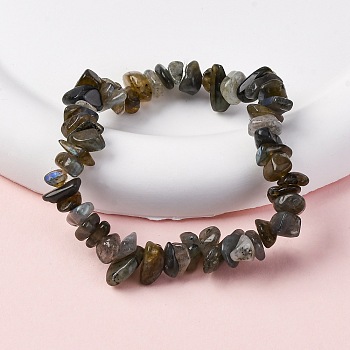 Unisex Chip Natural Labradorite Beaded Stretch Bracelets, Inner Diameter: 1-3/4~2 inch(4.5~5cm)