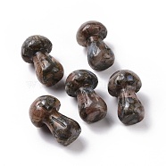 Natural Labradorite GuaSha Stone, Gua Sha Scraping Massage Tool, for SPA Relaxing Meditation Massage, Mushroom Shaped, 36.5~37.5x21.5~22.5mm(G-A205-25T)