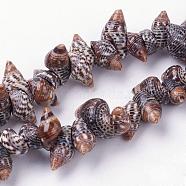 Natural Spiral Shell Beads Strands, Conch, 5~10x12~17x6~10mm, Hole: 1mm, about 94pcs/strand, 15.3 inch(39cm)(BSHE-L036-31)