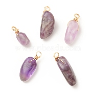 Natural Amethyst Pendants, Twisted with Golden Tone Copper Wire, Chip, 17~29x8~10x5.5~9mm, Hole: 2.5~3.2mm(PALLOY-JF01582-01)