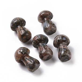 Natural Labradorite GuaSha Stone, Gua Sha Scraping Massage Tool, for SPA Relaxing Meditation Massage, Mushroom Shaped, 36.5~37.5x21.5~22.5mm