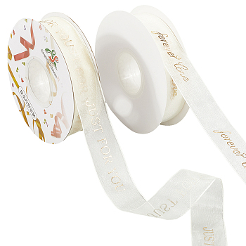 2 Rolls 2 Styles Chiffon Lace Trim for Sewing Decoration, Word, 1-1/8 inch(28mm), about 9.84 Yards(9m)/Set
