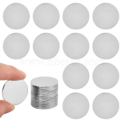 20Pcs 201 Stainless Steel Blank Commemorative Coin, Lucky Coin, Flat Round, Stainless Steel Color, 29.5x1.5mm(AJEW-DC0001-41)