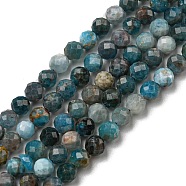 Natural Apatite Beads Strands, Faceted, Round, 4mm, Hole: 1mm, about 95pcs/strand, 15.35 inch(39cm)(G-K185-02-4MM-01)