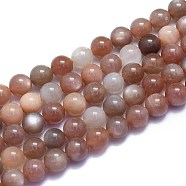 Natural Sunstone Beads Strands, Round, 8~8.5mm, Hole: 0.8mm, about 46pcs/Strand, 15.08 inch(38.3cm)(G-K310-C08-8mm)