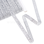 Filigree Polyester Lace Trim, Piping Strips for Home Textile Decoration, Silver, 3/8 inch(10mm)(OCOR-WH0074-98B)