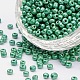 6/0 Glass Seed Beads(SDB4mm127)-1