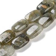 Natural Labradorite Beads Strands, Rectangle, 14~15x10~11x5~5.5mm, Hole: 1~1.2mm, about 28pcs/strand, 16.02 inch(40.7cm)(G-K357-D16-01)