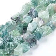 Raw Rough Natural Fluorite Beads Strands, Nuggets, 15~20x14~18x10~14mm, Hole: 1mm, about 25pcs/strand, 14.9 inch(38cm)(G-E343-01)