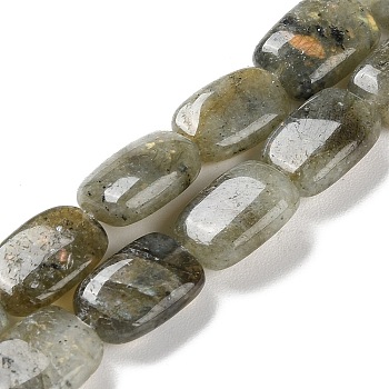 Natural Labradorite Beads Strands, Rectangle, 14~15x10~11x5~5.5mm, Hole: 1~1.2mm, about 28pcs/strand, 16.02 inch(40.7cm)