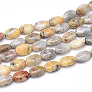Natural Crazy Lace Agate Flat Oval Bead Strands, 14x10x6mm, Hole: 1mm, about 29pcs/strand, 15.7 inch(G-M206-18)