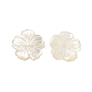 Natural White Shell Beads, Flower, WhiteSmoke, 19x19x2mm, Hole: 0.5mm(SHEL-M021-08A)