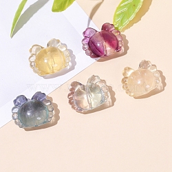 Natural Fluorite Carved Beads, Crab, 16x13x9mm(PW-WG1ACAE-15)