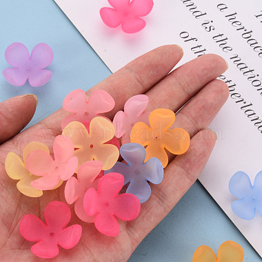 Coupelles en acrylique mat(MACR-S371-06A)-5