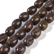 Natural Red Snowflake Obsidian Beads Strands, Coffee Bean, 15.5x20x13mm, Hole: 1mm, about 20pcs/strand, 15.75''(40cm)(G-K362-D01-02)