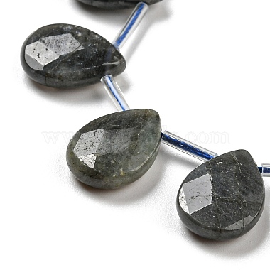 Natural Labradorite Beads Strands(G-D864-12B-01)-3