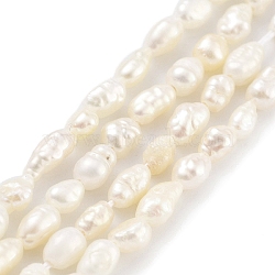 Natural Keshi Pearl Cultured Freshwater Pearl Beads Strands, Baroque Pearls, Two Sides Polished, Grade 2A+, Floral White, 3~4mm, Hole: 0.5mm, about 33pcs/strand, 7.09''(18cm)(PEAR-P062-25C)