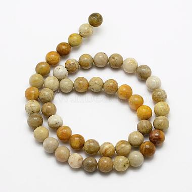 Natural Fossil Coral Beads Strands(G-K194-8mm-05)-2