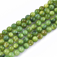 Freshwater Shell Beads Strands, Dyed, Round, Green, 4mm, Hole: 0.8mm, about 95pcs/strand, 14.96 inch(38cm)(X-SHEL-S276-32D)
