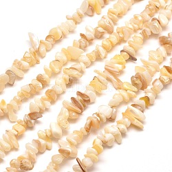 Natural Freshwater Shell Chip Bead Strands, Shell Shards, 5~8x5~8mm, Hole: 1mm, about 31.5 inch(G-M205-20)