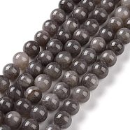 Natural Mashan Jade Round Beads Strands, Dyed, Gray, 8mm, Hole: 1mm, about 51pcs/strand, 15.7 inch(G-D263-8mm-XS29)