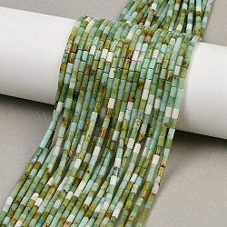 Natural Chrysoprase Beads Strands, Column, 4~4.5x2mm, Hole: 0.7mm, about 88~92pcs/strand, 14.49~14.96''(36.8~38cm)(X-G-M389-22)