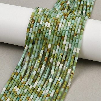 Natural Chrysoprase Beads Strands, Column, 4~4.5x2mm, Hole: 0.7mm, about 88~92pcs/strand, 14.49~14.96''(36.8~38cm)