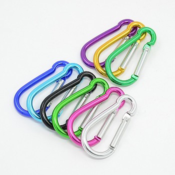 Aluminum Rock Climbing Carabiners, Key Clasps, Platinum, about 24mm wide, 50mm long, 4mm thick