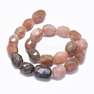 Natural Sunstone Beads Strands, Faceted, Drum, 13~19x10~13mm, Hole: 1.4mm, about 21~23pcs/strand, 15.4 inch(39.3cm)(G-F632-45)