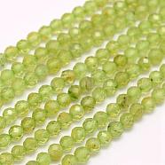 Natural Peridot Beads Strands, Faceted, Round, 3mm, Hole: 0.5mm, about 132pcs/strand, 15.7 inch(40cm)(G-F509-12-3mm)