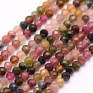 Natural Tourmaline Beads Strands, Faceted, Round, 3mm, Hole: 0.5mm, about 132pcs/strand, 15.5 inch(39.5cm)(G-F509-35-3mm)