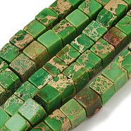 Natural Imperial Jasper Beads Strands, Dyed, Cube, Medium Spring Green, 6x6x6mm, Hole: 1.2mm, about 54~56pcs/strand, 15.1~15.3 inch(38.5~39cm)(G-I248-02-03)