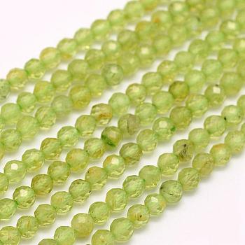 Natural Peridot Beads Strands, Faceted, Round, 3mm, Hole: 0.5mm, about 132pcs/strand, 15.7 inch(40cm)