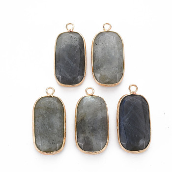 Natural Labradorite Pendants, with Golden Plated Brass Edge and Loop, Rectangle, 31.5x15x6~7mm, Hole: 2.5mm