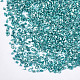 Plated Glass Seed Beads(MRMJ-S034-04H)-2