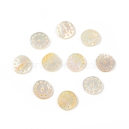 Natural Sea Shell Charms, Flat Round, 13x12x1.5mm, Hole: 1mm(SSHEL-T012-13)