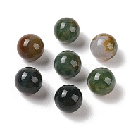 Natural Indian Agate No Hole Sphere Beads, Round, 10mm(G-K353-04A-09)